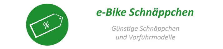 e-Bike, Pedelec und S-Pedelec Schnäppchen gebraucht günstig kaufen in Bonn