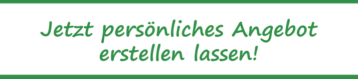 Ersparnis Bares Geld Beim E Bike Fahrrad Leasing Sparen E Motion E Bike Experten