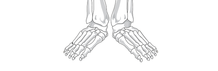 Gesunde Füße Übungen Schmerzen Workshop Yoga  Spiraldynamik