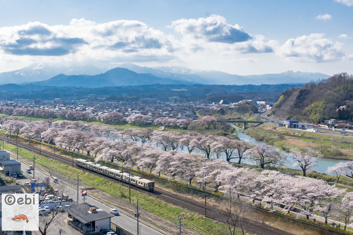 船岡城址公園