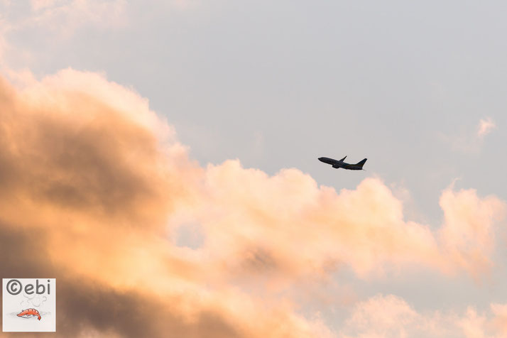 仙台空港