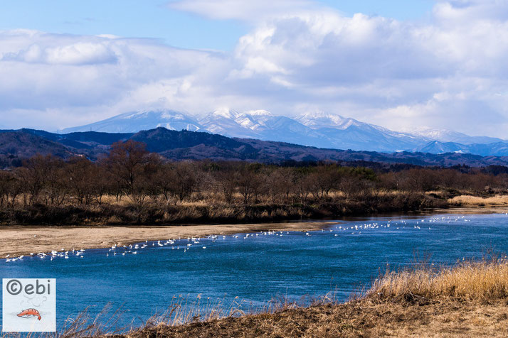 阿武隈川