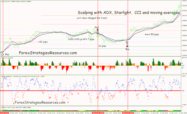 Scalping Trend