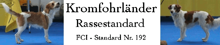 Rassestandard des Kromfohrländers - FCI Standard Nr. 192
