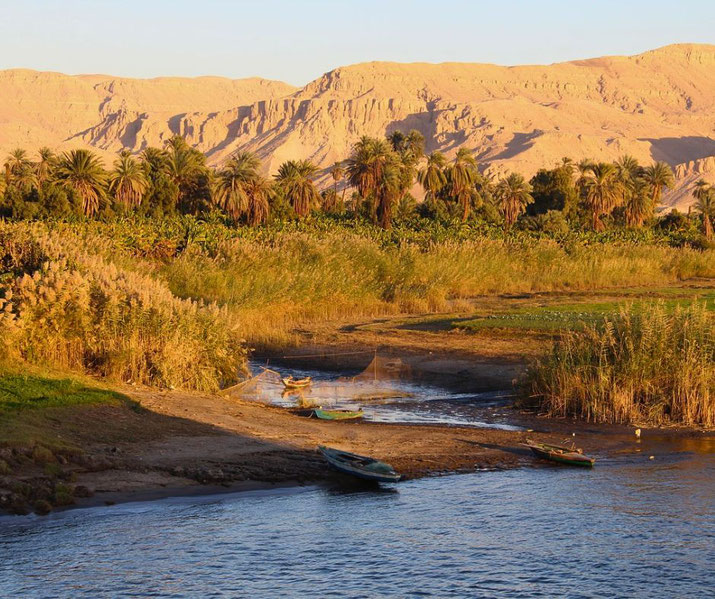 The lush banks of the Nile, with small fishing boats and a net near the water. Tall reeds, palm trees, and distant desert mountains create a striking contrast in the golden sunlight.