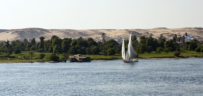 A traditional sailboat glides on the Nile River with lush greenery on the shore and desert hills in the background.