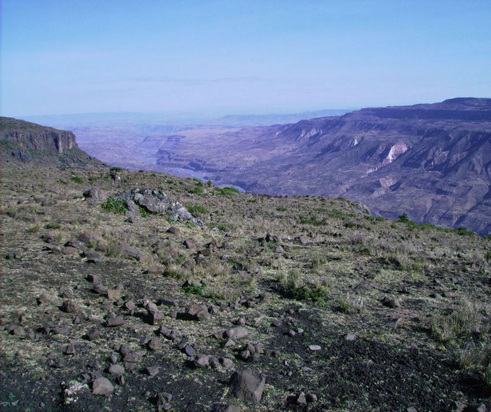 Abay Rift Valley 
