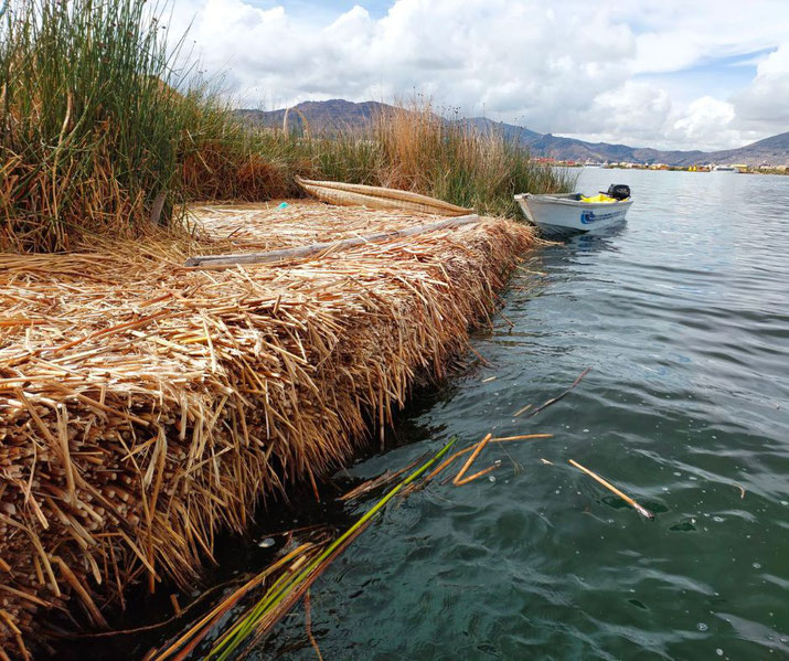 A close-up of a floating island made of totora reeds on Lake Titicaca. A small boat is moored nearby, with mountains and other islands in the background under a partly cloudy sky.