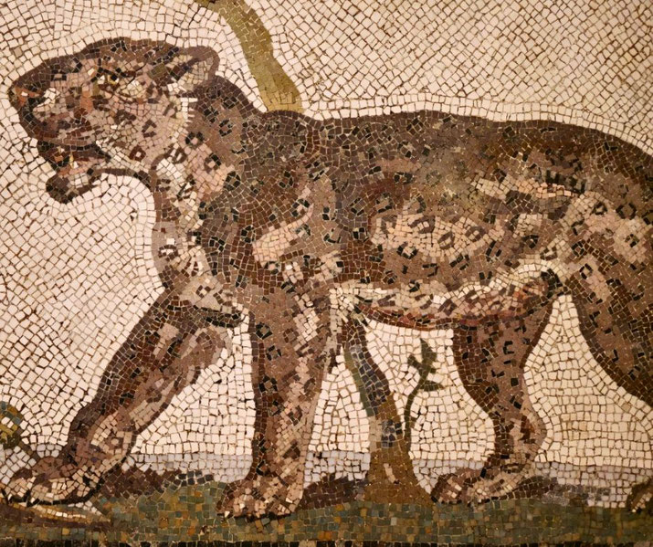 Ancient mosaic of a leopard walking left, featuring a spotted coat and open mouth, set against a light background.