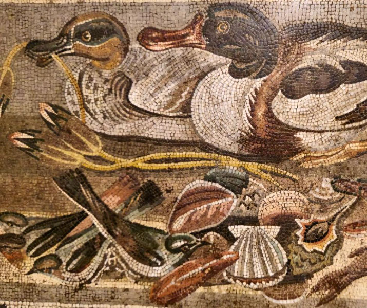 Colorful mosaic of two ducks near water plants and various seashells, capturing a naturalistic aquatic scene.