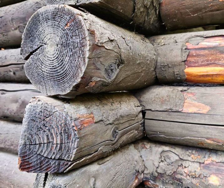 A close-up of weathered, stacked wooden logs with visible growth rings and textured bark remnants, forming part of a rustic structure. The aged wood displays cracks and natural patterns.