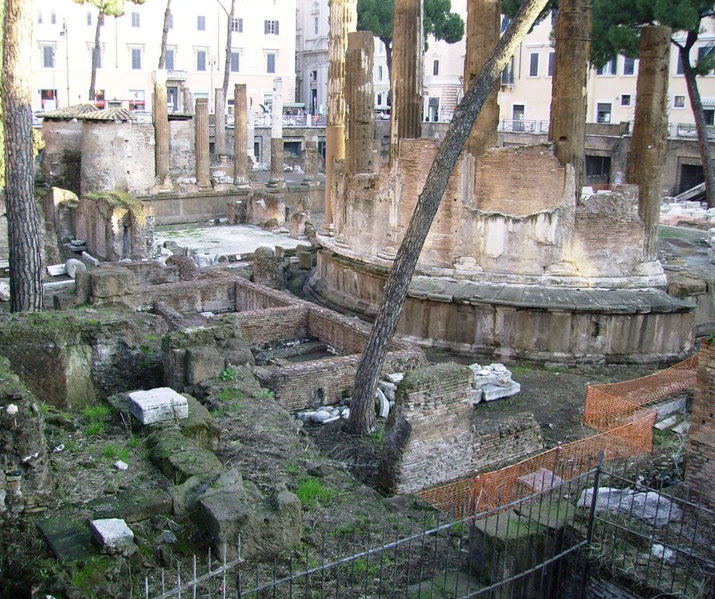 Ancient Roman ruins with partially standing columns and stone foundations in an open archaeological site.