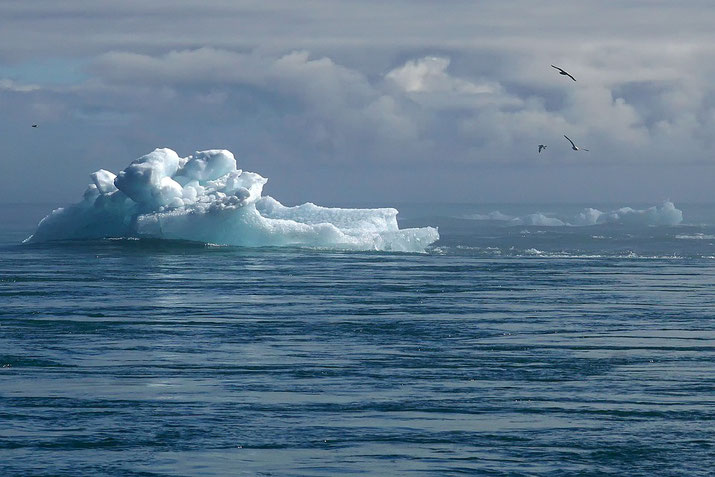 An iceberg floating in a calm ocean, with a few seagulls flying nearby under a cloudy sky, evoking a serene yet cold maritime atmosphere.