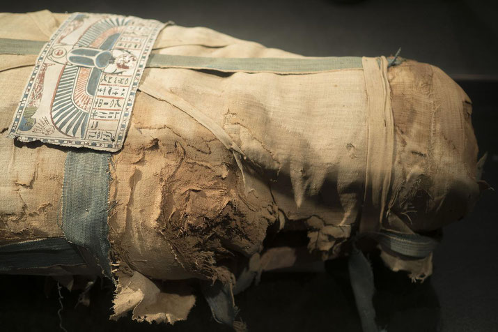 Ancient Egyptian mummy wrapped in aged linen with frayed edges and a decorative panel showing hieroglyphs and a winged symbol.