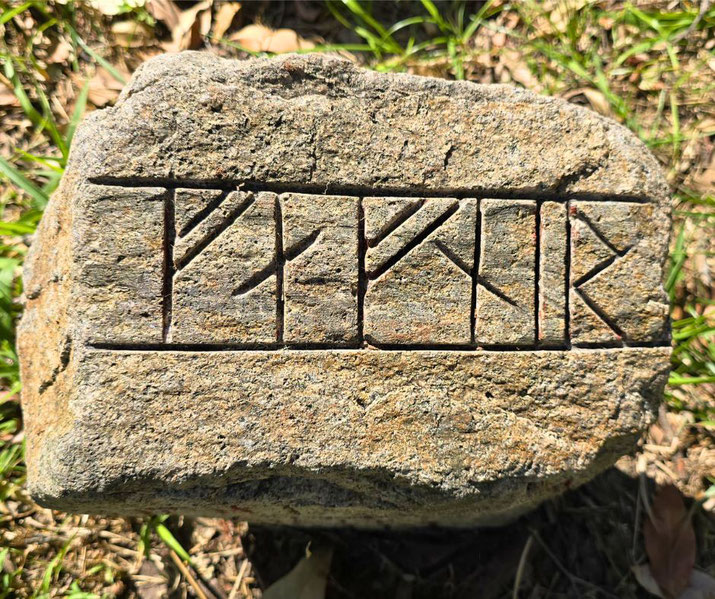 Stone block with Norse runes carved into its surface, lying on grass and surrounded by dry leaves and sunlight.