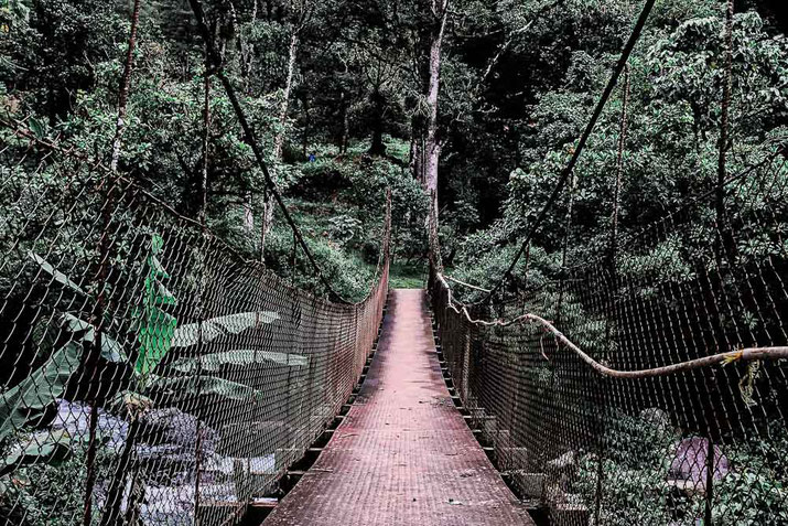 Pont suspendu vers "The Lost Waterfalls" au milieu de la jungle.