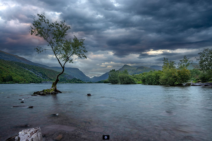 The Lone Tree Llanberis | North Wales 