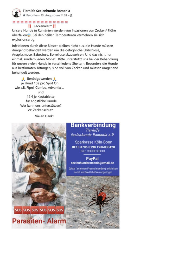 Spenden für Hunde von Tierhilfe Seelenhunde Romania