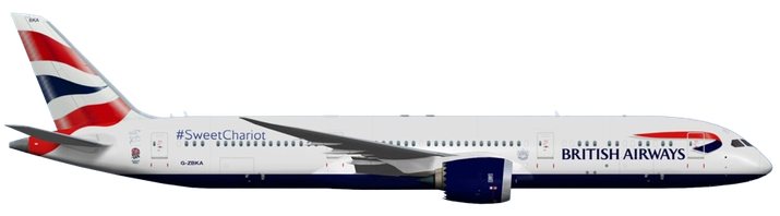 Aircraft Type: Boeing 787-8/-9 Dreamliner