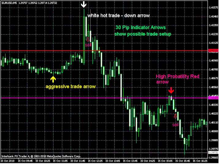 free forex training pips hunter indicator