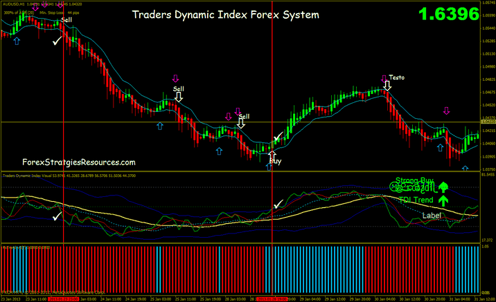 Traders dynamic index Forex System