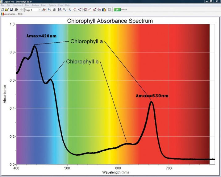 Courbe d'absorption de la Chlorophylle par le logiciel LogerPro