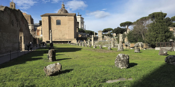 The ruins of the Basilica Aemilia in the Roman Forum. Scattered stone remnants and columns stand on a grassy area, with historic buildings and trees in the background under a blue sky.
