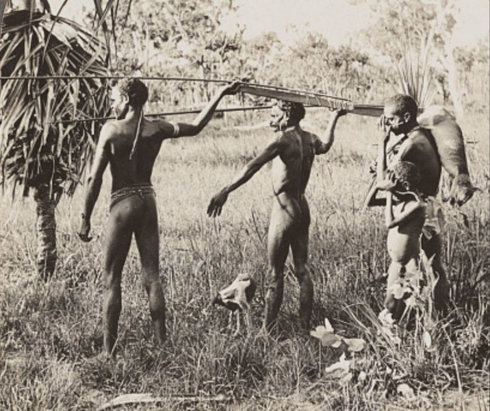 A black-and-white photo of three Indigenous Australian men walking through tall grass, carrying spears and a hunted animal. 
