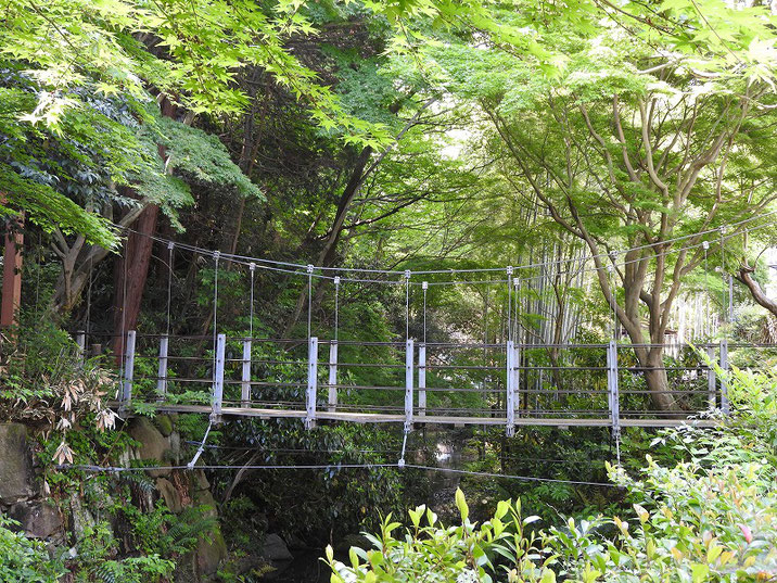 親水緑道の吊り橋　2024/04/29撮影