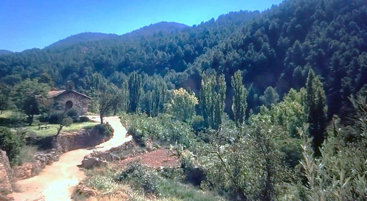 El Rincón de Ademuz (Valencia) es ideal para los amantes de la naturaleza, ya que ofrece una gran cantidad de rutas de senderismo y zonas para disfrutar del aire libre. 