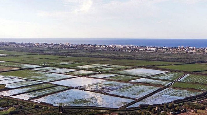 El Parque Natural de la Marjal de Pego y Oliva se encuentra en el litoral situado entre las provincias de Valencia y Alicante, tiene una extensión de casi 1300 hectáreas.