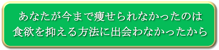 松戸市　新松戸　ポプラはりきゅう整骨院　ＡＣ耳つぼダイエット　ダイエット　松戸　南流山　流山市　柏市