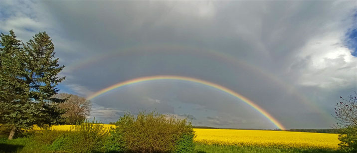 Regenbogen