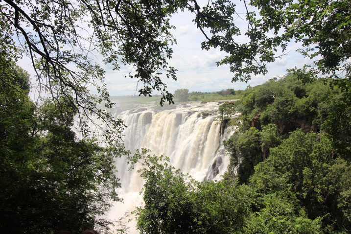 Weltreise Reiseblog Sambia Simbabwe Afrika Victoria Falls Viktoria Falls Wasserfälle Livingston