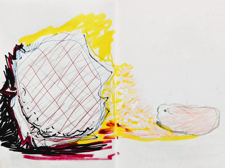 SKETCHBOOK 2024. Sunflowers & Guinea Pigs. Series of colour drawings