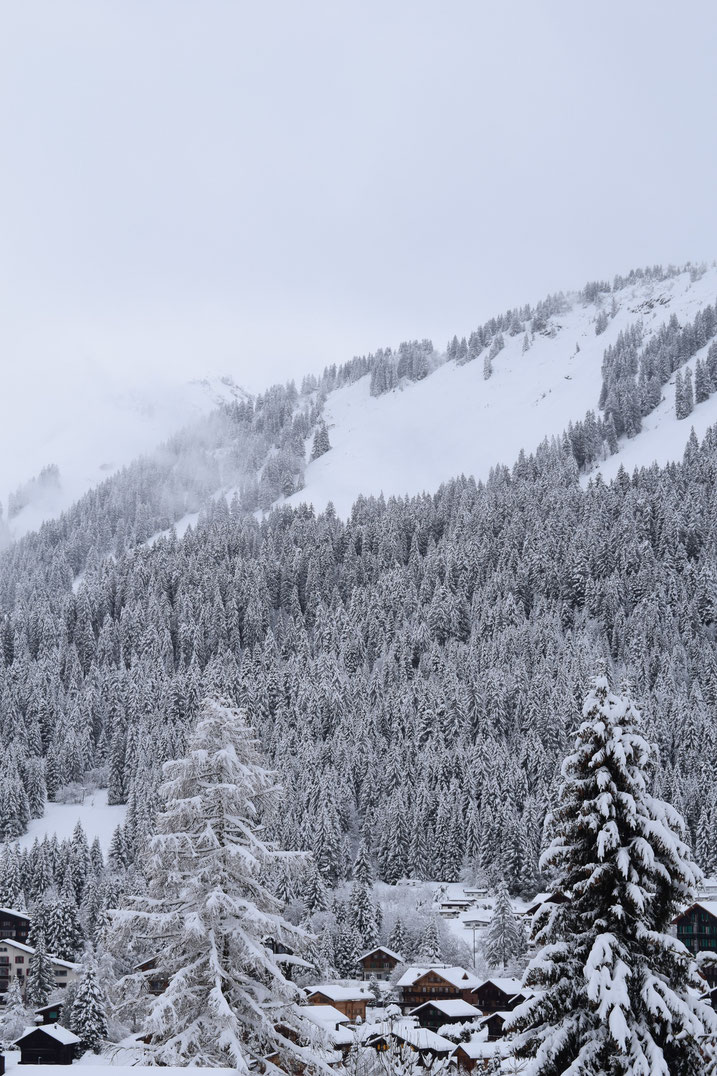 Winter snow, Morgins, Switzerland 