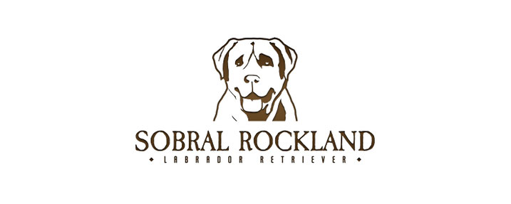 Sobral Rockland - Labradores Retriever