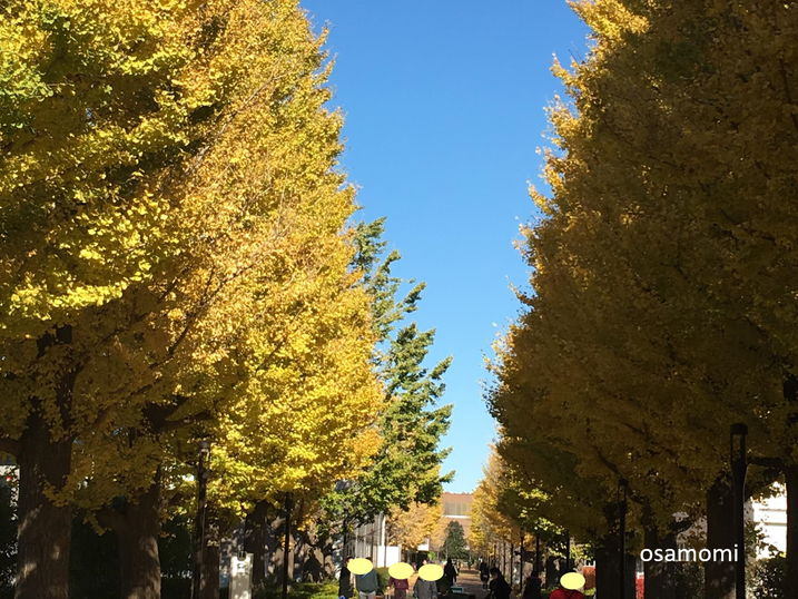 昭島駅北口イチョウ並木通りで開催中!競歩技術を取り入れたオサモミウォーキング教室!