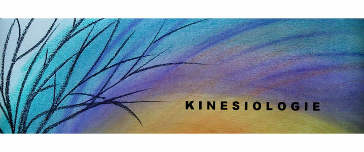 Kinesiologie Dorothea Meyer