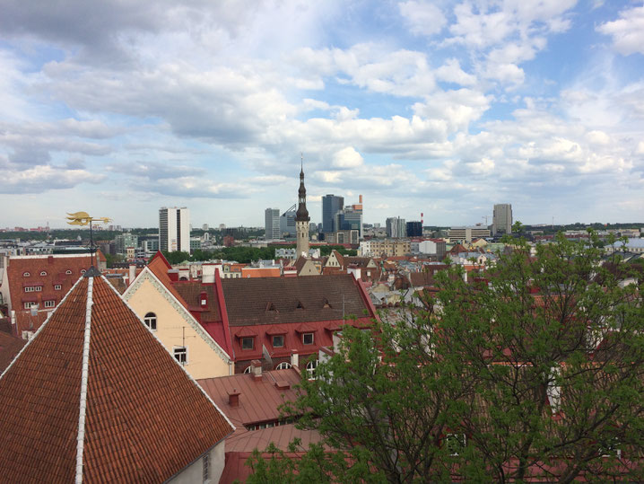 Ausblick von der Altstadt Tallinns: Vorn Kirche, hinten Hochhäuser