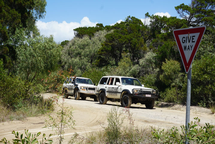 Fraser Island Australien sunnybee sunnybeetravel Reiseblog blog Foto