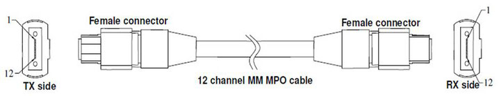 12芯MPO MMF（50/125μｍ、Type-A）