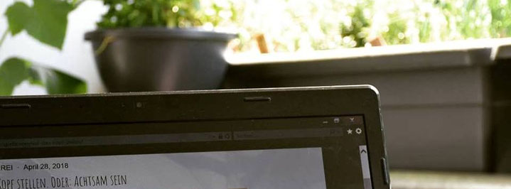 Outdoor-Office, Freiberufler, Andrea Blum, krautfotografie.com, krautfotografie.at, krautblog, Blog, Gartenblog, Kräuterblog, Nachhaltigkeit, Lebensmittel, Landwirtschaft, Zero Waste, Achtsamkeit, Andrea Blum, Fotografie, Texte, Konzepte, Natur, Kräuter