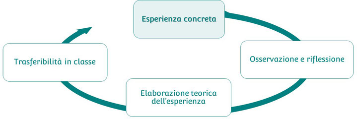 Modello di apprendimento esperienziale, Malusà, Learning by doing