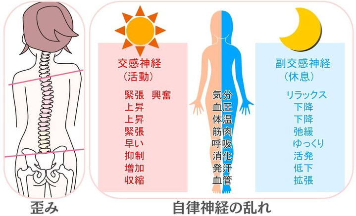 体のゆがみ　自律神経の乱れ