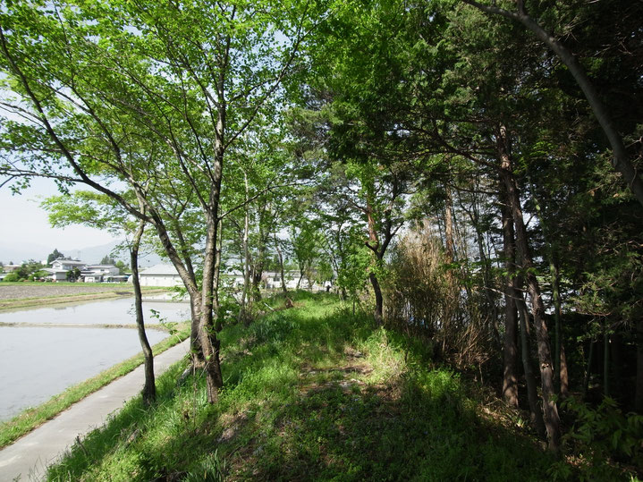 徳治郎の家　安曇野市　土塁　屋敷林