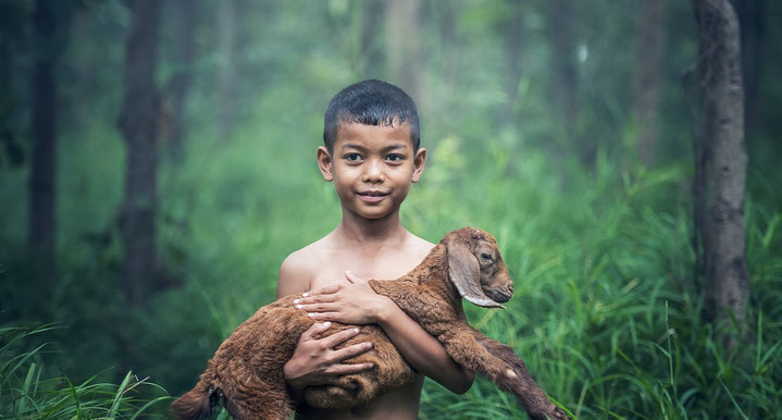 boy holding God's creature with love and care