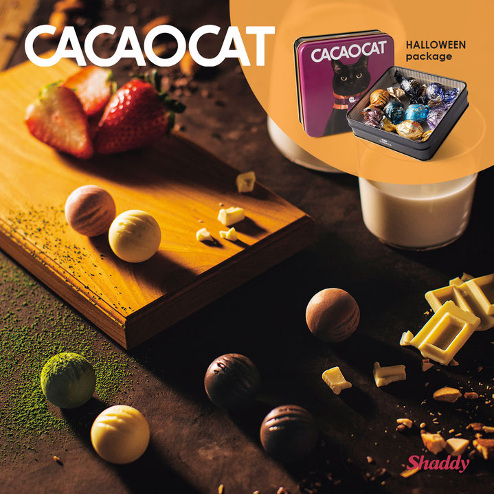 CACAOCAT缶 ミックス8個入り HALLOWEEN