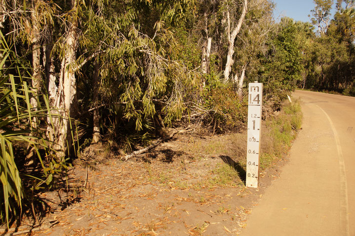 Beste Reisezeit, Australien, Elsey National Park