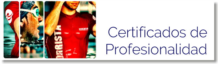 certificados de profesionalidad
